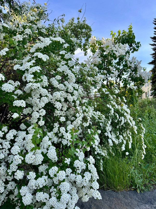 RGNoXJD1i8dHCUoIRQTuMS7bHJ12dFGdpba83s7tFc3i8Xnqdkm9PIWYEU4O7cyM7WScro57n-02iCOo_CaPp7t6