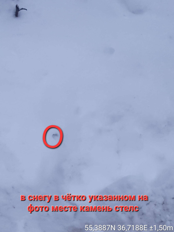 Compress 20260224 192124 4324