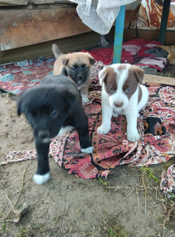 IMG-8eff26e1b1dfd4c9cfcf04e98bcdd236-V