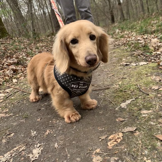 [Image: IMG-7848.jpg]