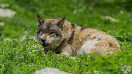 6EC8E76D-0B4F-44F1-B35E-09F1656940D9