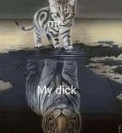 mydick