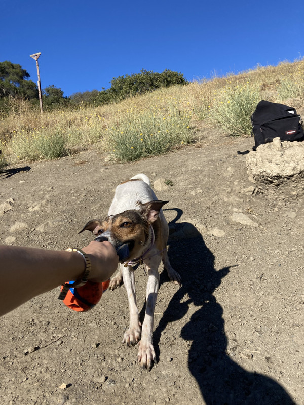 C2A51100-EB32-4B81-96A0-535AF3E001A4