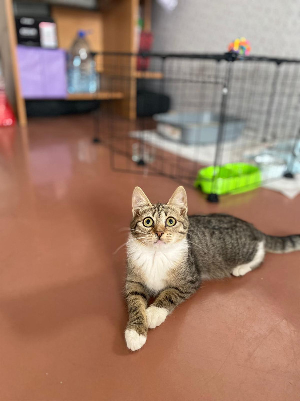 50CC2B11-03D0-486D-8C3A-8E6FC24509BF