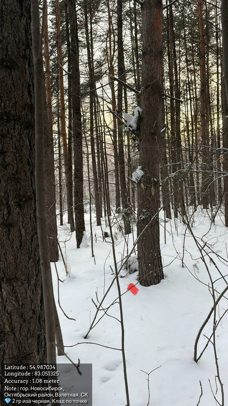 photo 2026 02 08 13 29 53