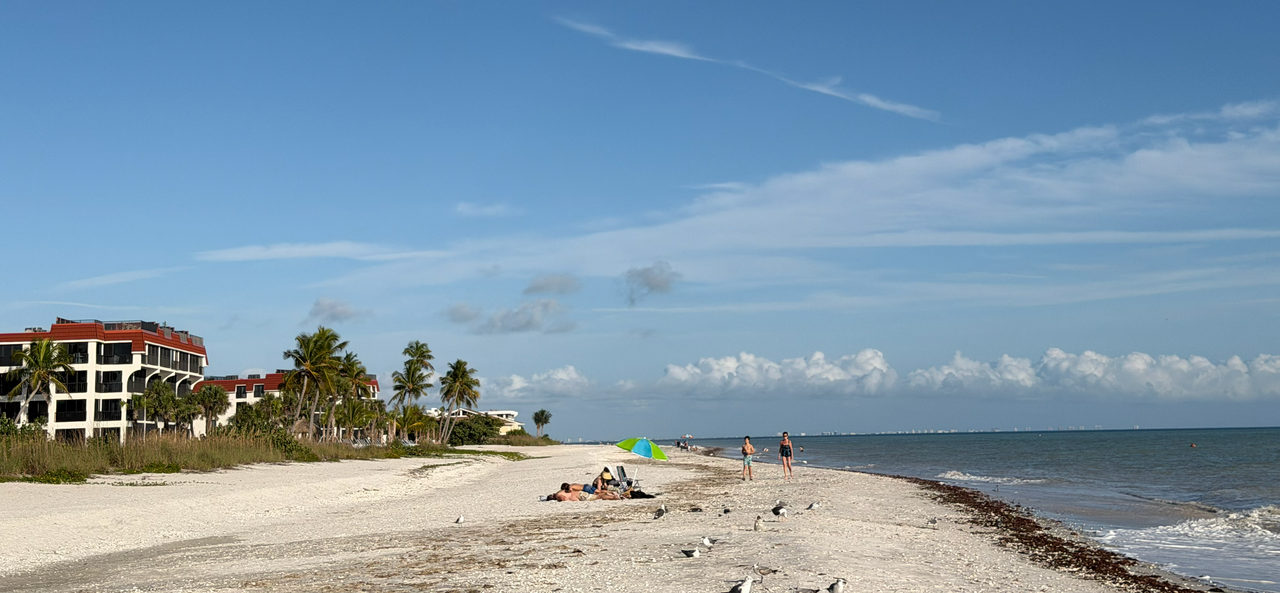 [Image: Sanibel-Island14.png]