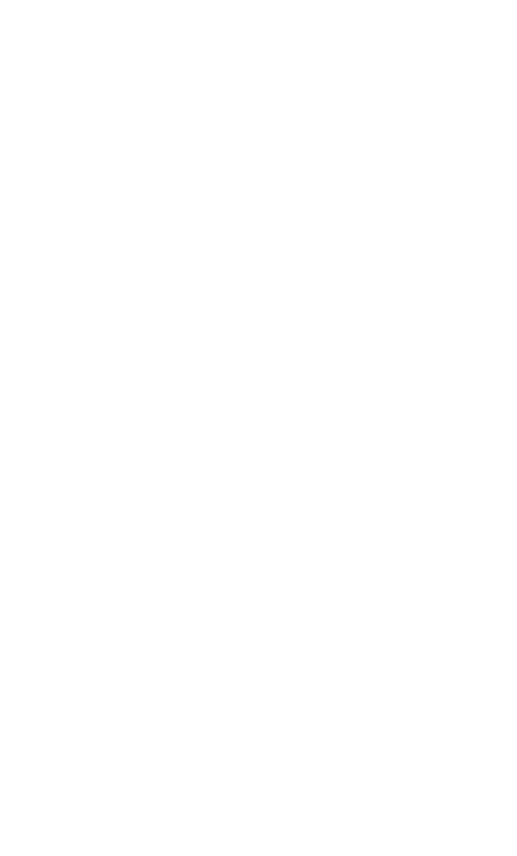 Pumpkinfairykitpudncobweb