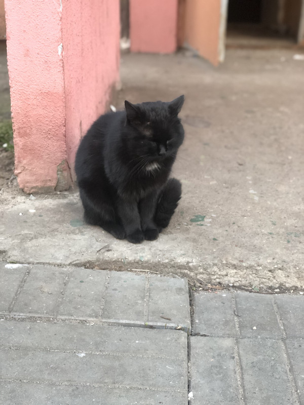 3C6AE0F0-4B66-4E07-BE99-785E1535261C