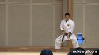 BUNKAI_of_Shorin_ryu_SEIBUKAN_Learn_what_KATA_means_The_1st_Karate_day