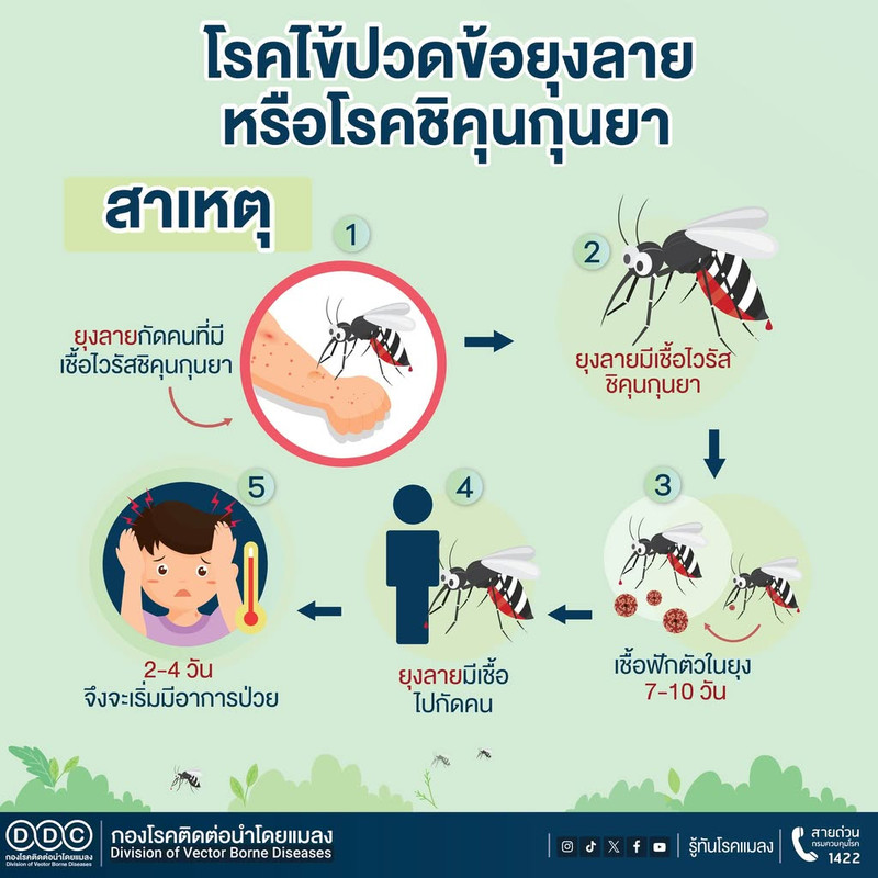 Chikungunya