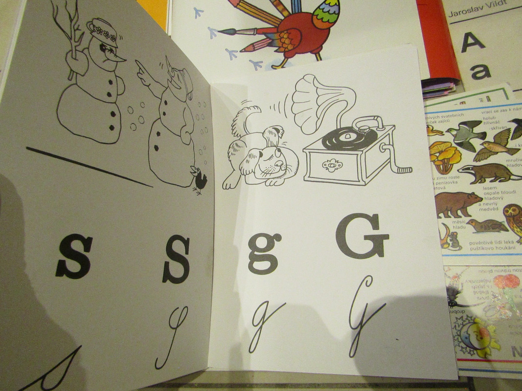 IMG 5960 — Postimages