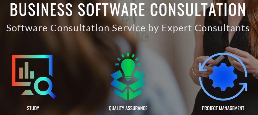 Business Software Consultation 