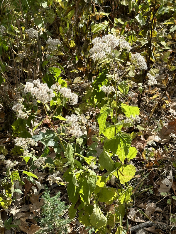 76200444-3E6B-47BC-BA0F-5C1FAC22EA52