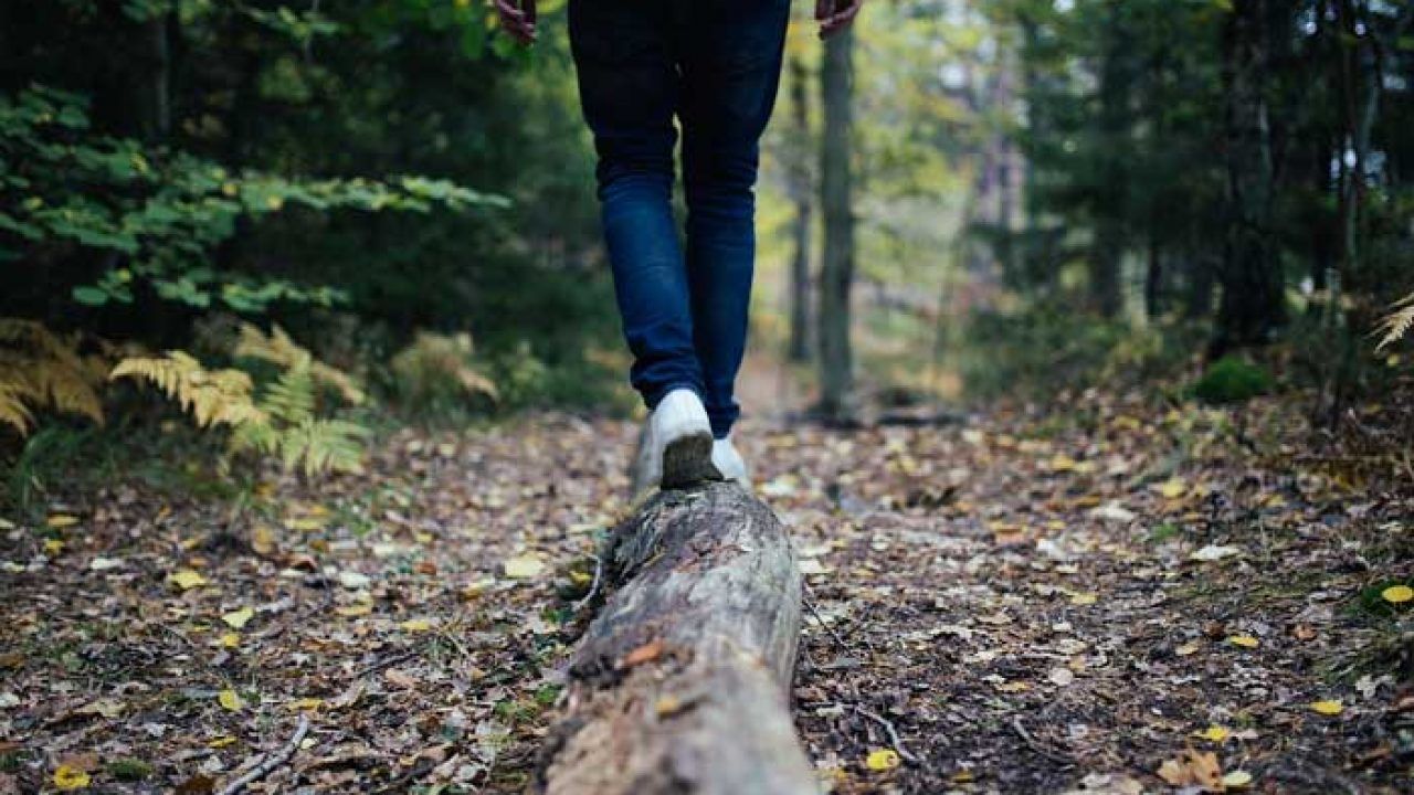 cambio cervello passeggiata natura bosco