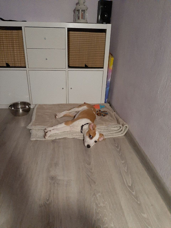 78437C78-FCD3-4F17-80EE-7663B4C862DC