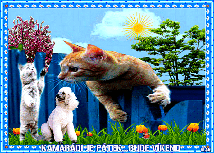 An den Beitrag angehängtes Bild: https://i.postimg.cc/DZrBpLXd/11-4-P.gif