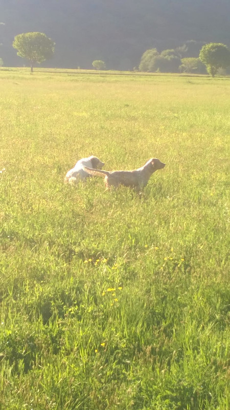 WhatsApp Image 2018-06-06 at 08.56.39