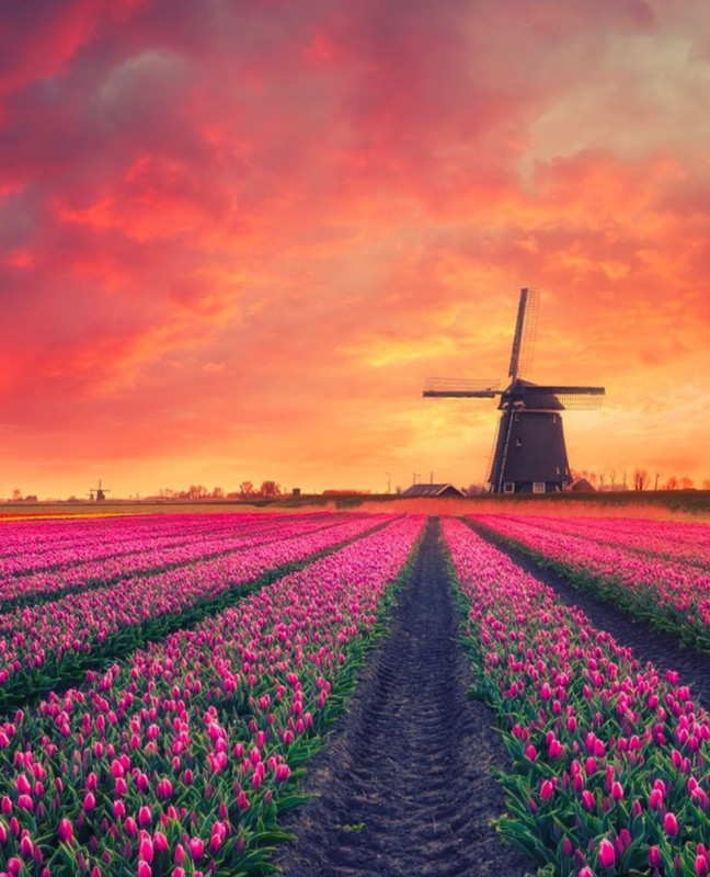 Screenshot_20240424_220632_Pinterest