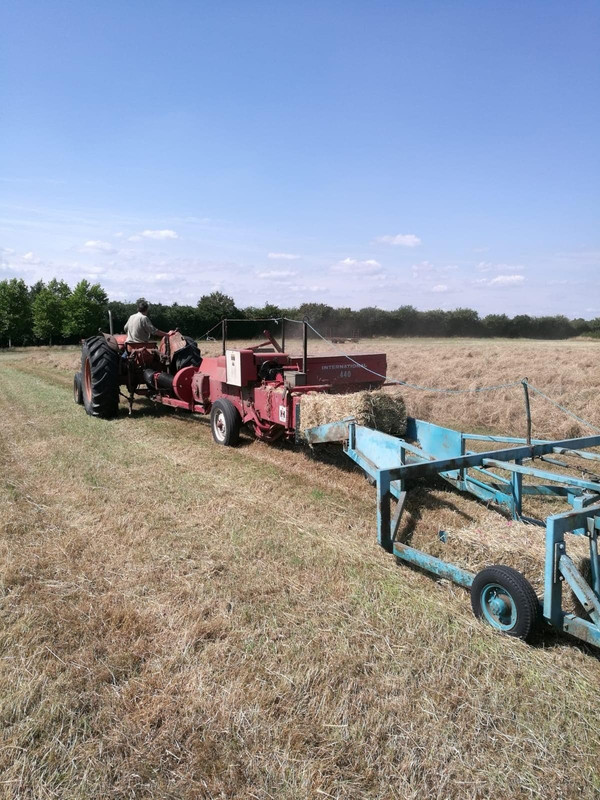 41507725_884077825129966_3571425715062571008_n