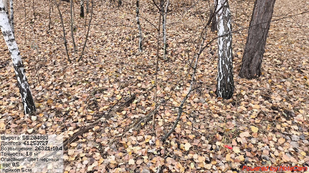 photo_5_2025-10-14_15-05-38