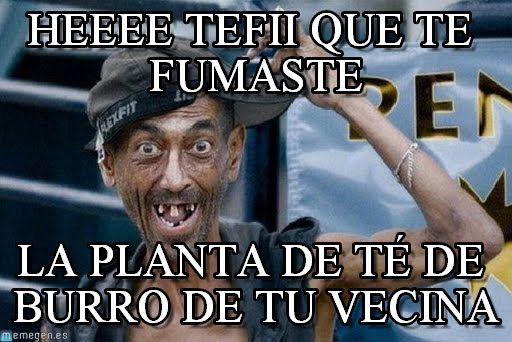 yiijpa