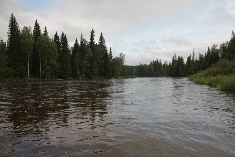 Замутилось
