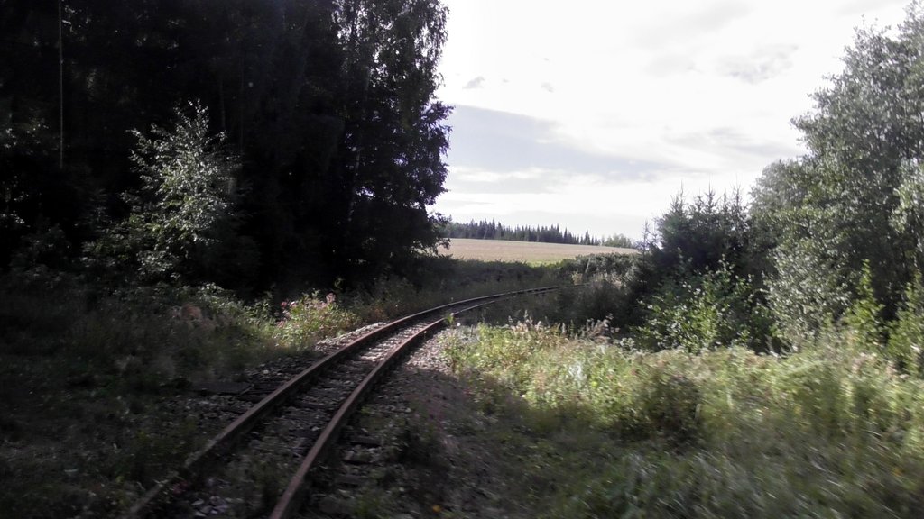 [Bild: S1240220.jpg]
