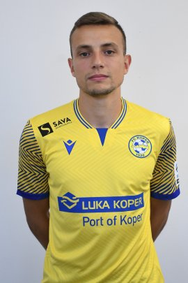 slika