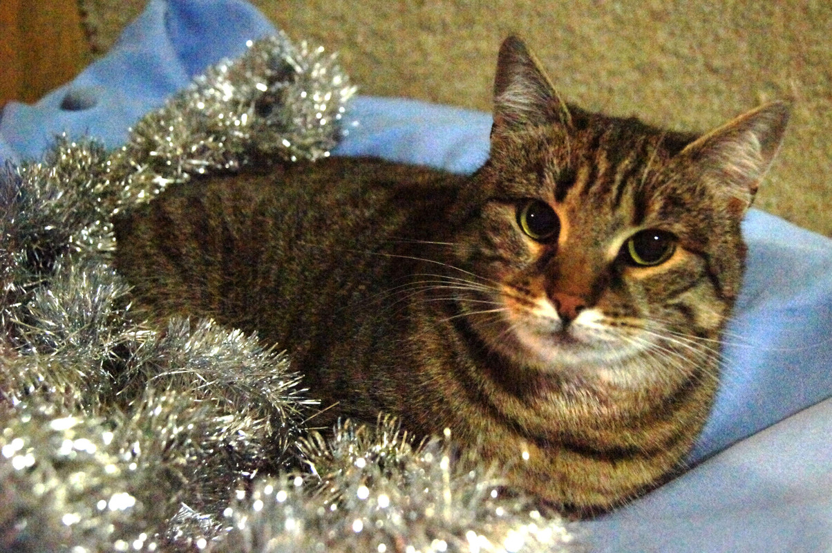 Матильда (4)