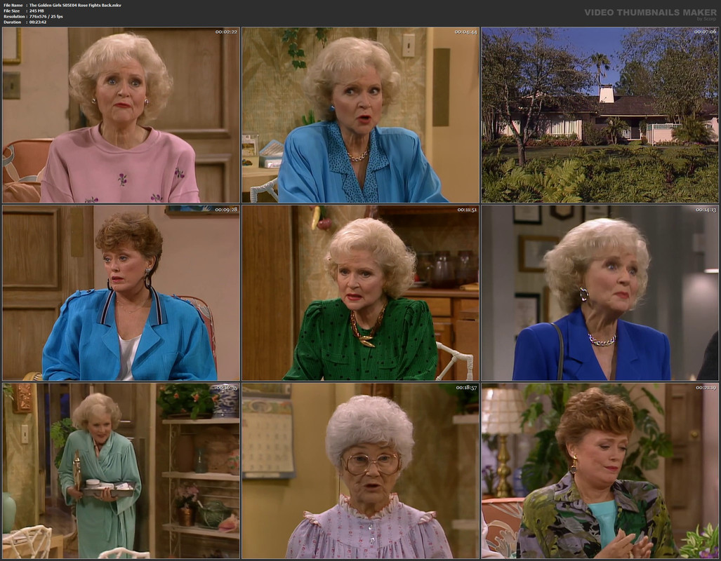 The Golden Girls S05E04 Rose Fights Back.mkv