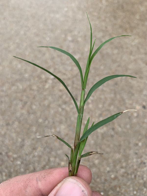 9C14A530-A3E9-4459-A79A-2D920A48602E