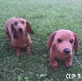 875e4efe46e79c946034d6d945dd921e.gif