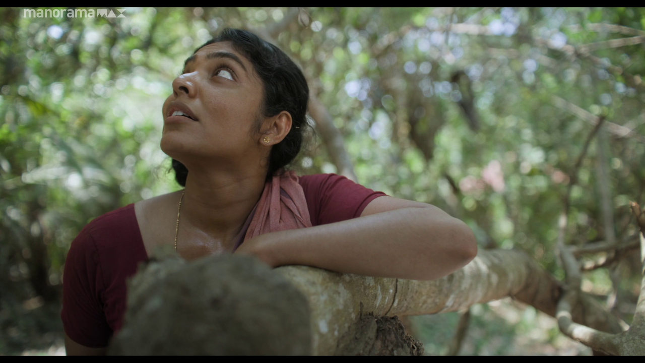 vlcsnap 2026 02 25 12h50m50s847