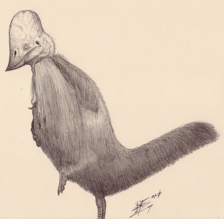 Chirostenotes-paragracilis-00.jpg