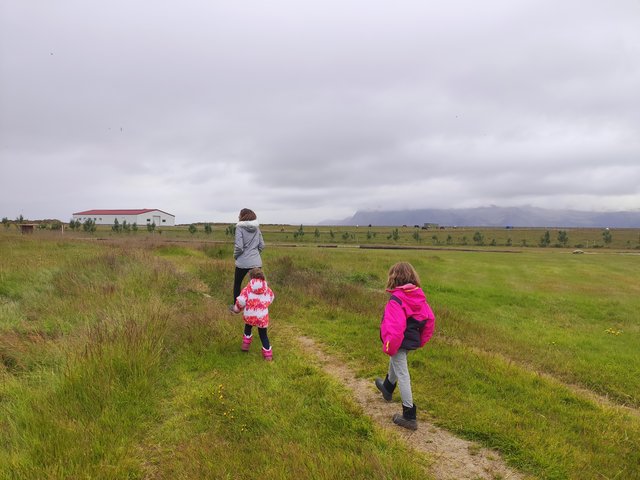 --Día 7 (28 julio): Laguna Secreta - Ytru Tunga - Islandia 2020: En autocaravana y sin coronavirus (8)