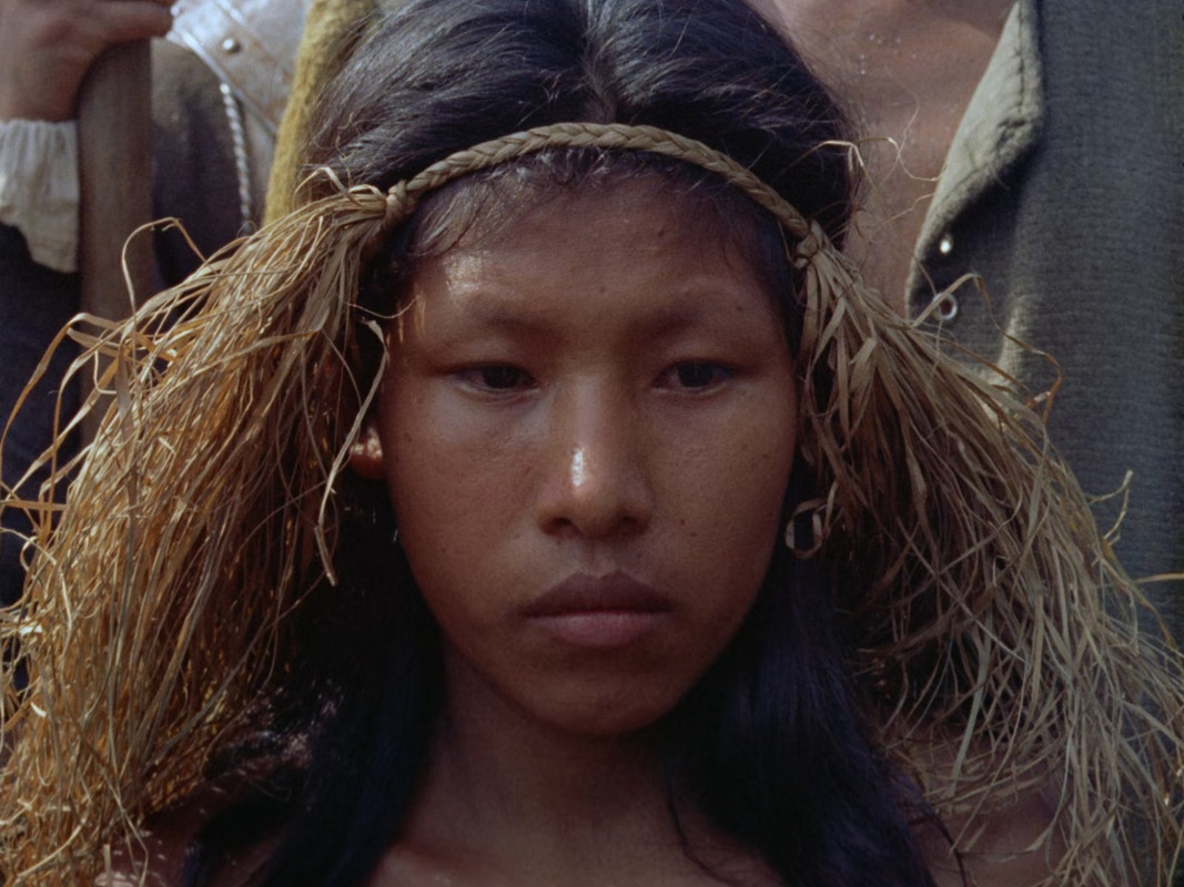 Aguirre, the Wrath of God 1972 WHC (1080p x265 1