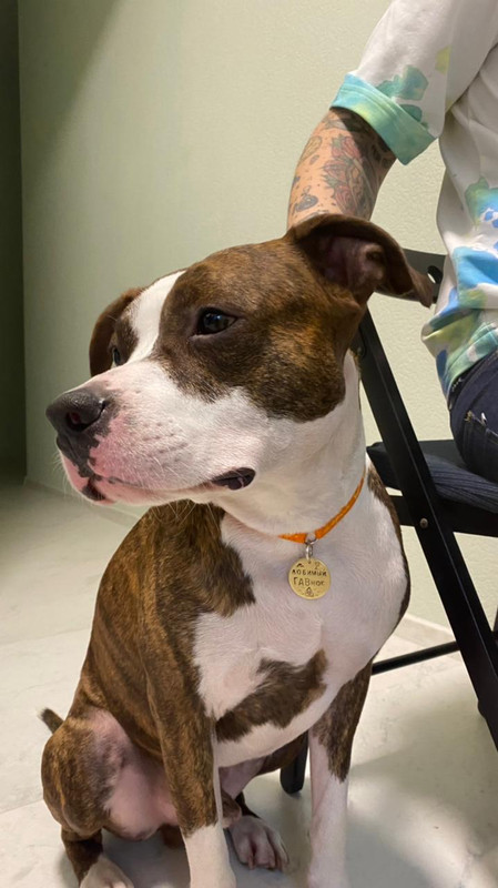 269D43C3-C73E-4885-B5A4-89185F938441