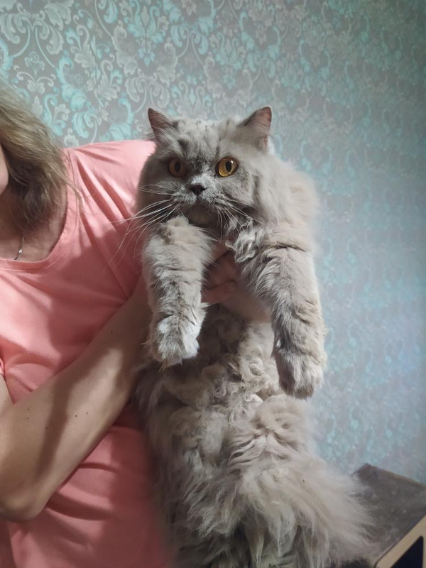 F4024001-5915-4F80-9518-5DC7E8350B48