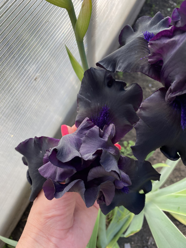 E5E5D8E7-8307-475B-B8AE-0F85527AB68C