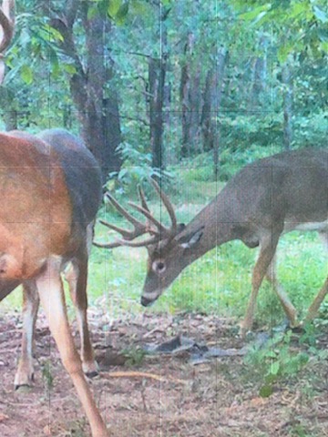 624F2184-32E5-4BEC-818B-2EE6AB444454