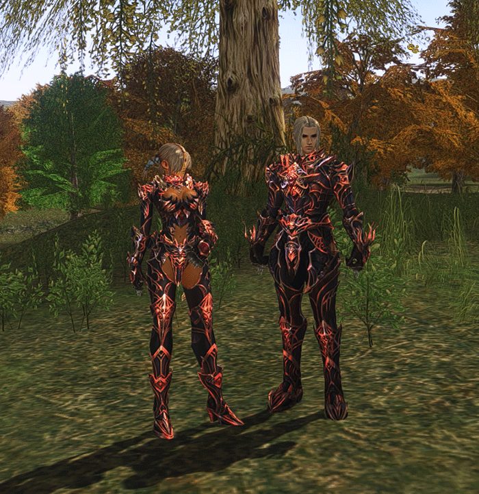 Immotal-Leather-Armor-Set.gif