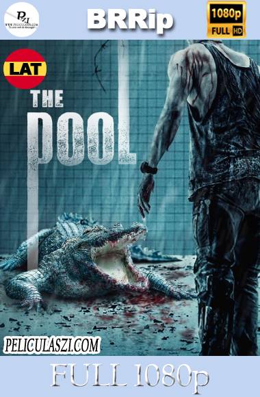 The Pool (2018) Full HD BRRip 1080p Dual-Latino