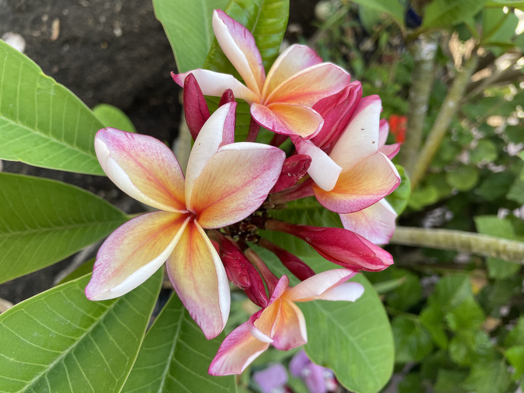 FB6C657A-E337-48CF-9704-4D839DD4F63A