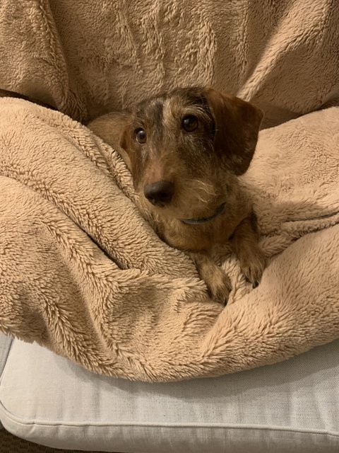 [Image: 44-D7559-A-88-F9-4126-9620-54242367-CAC7.jpg]