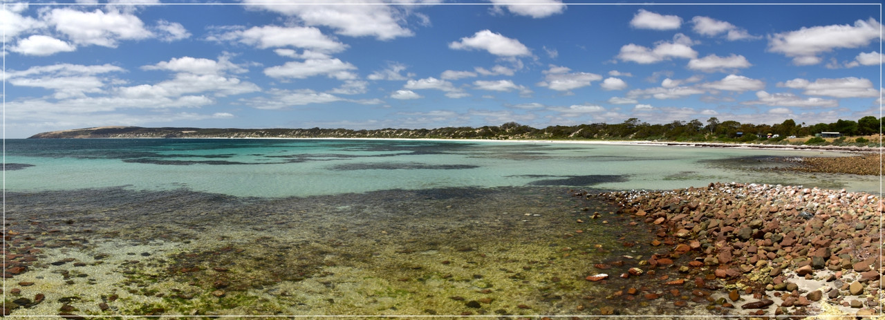 Australia (I): toma de contacto - Blogs de Australia - Kangaroo Island (74)