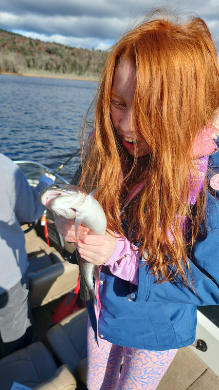IMG-20231111-WA0012