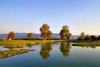 45437951-283625055590957-2160113750953164800-n