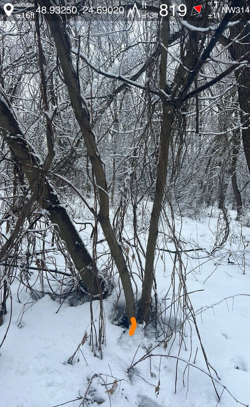 a1ac9814115a6b10c1799b5abdbce901e348