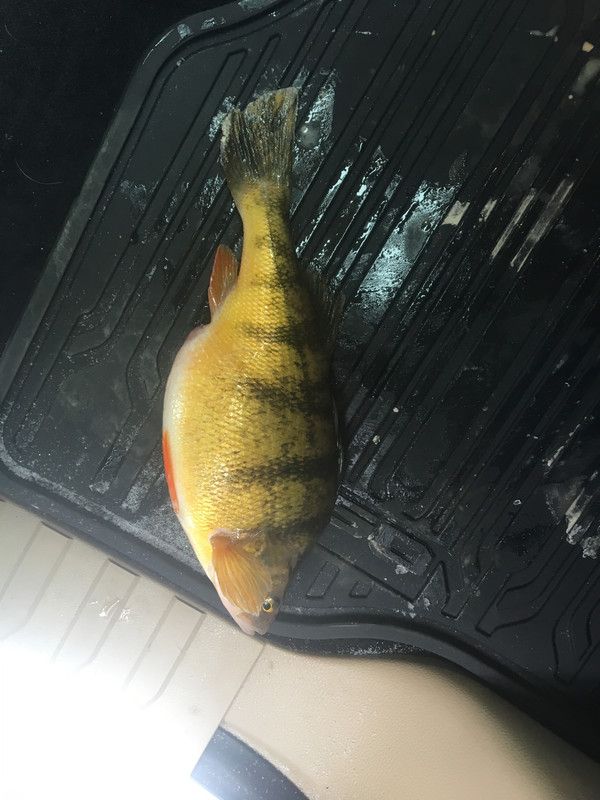 E52E77B7-7B1F-4E85-AE8B-751E12CCE3B4