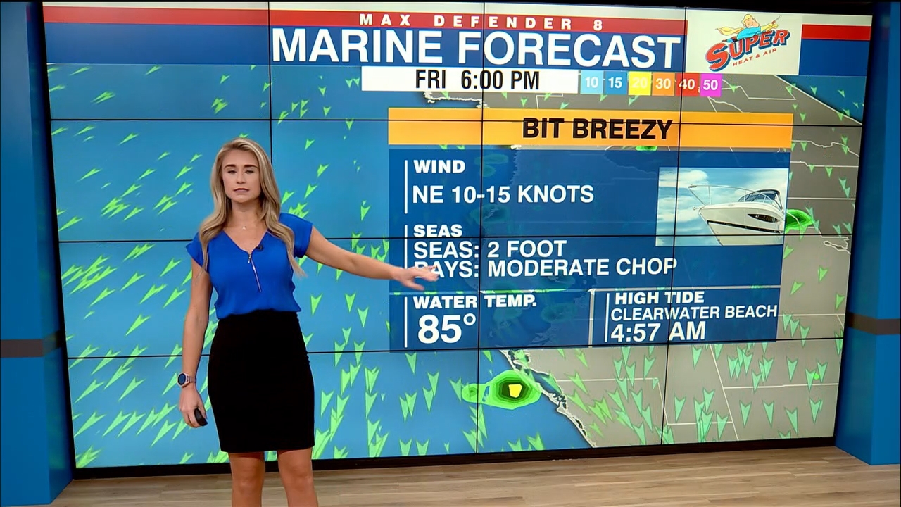 NewsChannel 8 Today at 7am_20230922_12001400.ts_snapshot_01.55.10.067